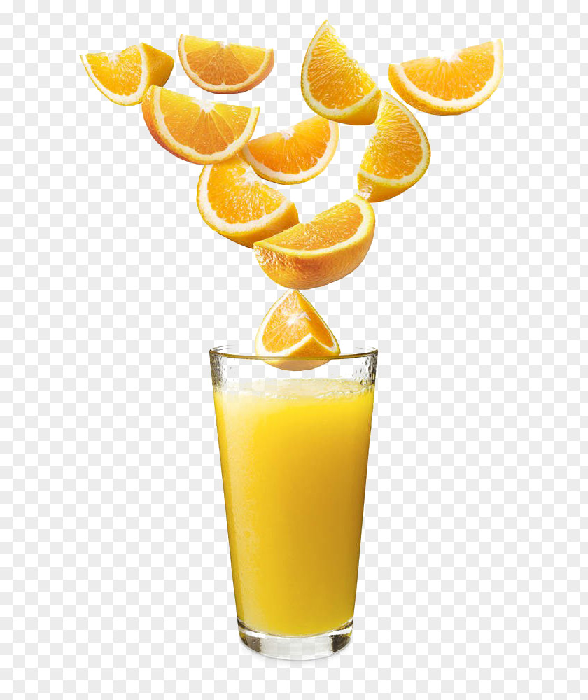 Orange Juice Fuzzy Navel Drink Non-alcoholic PNG