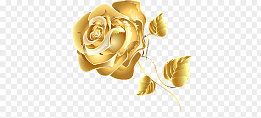 Rose Desktop Wallpaper Flower Gold PNG