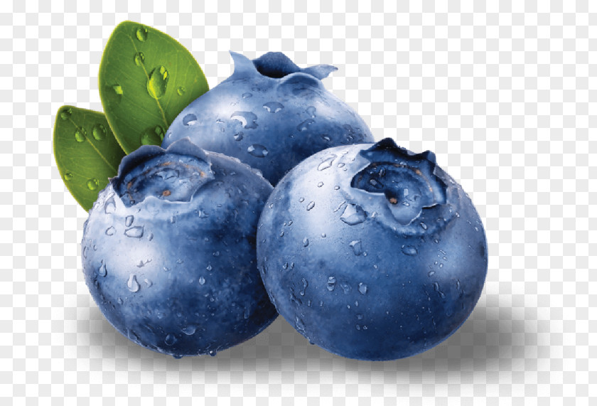 Blueberry Tea Smoothie Bilberry Juice PNG