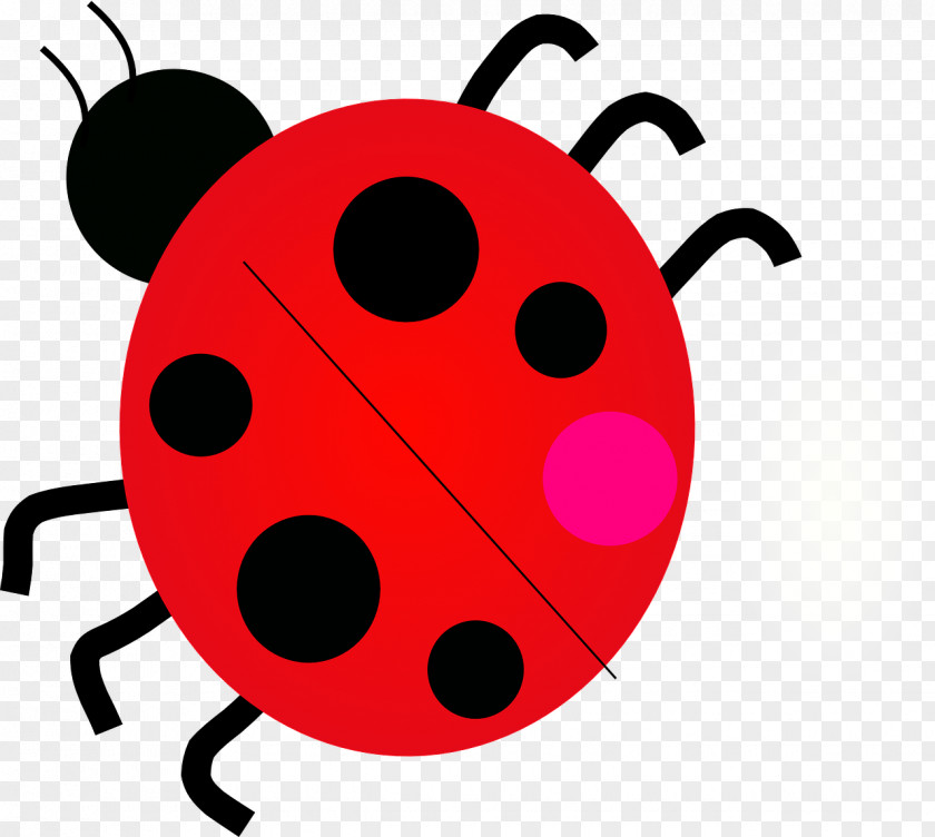 Bug Ladybird Drawing Clip Art PNG