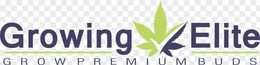 Business Growing Elite Marijuana Finance Organization PNG