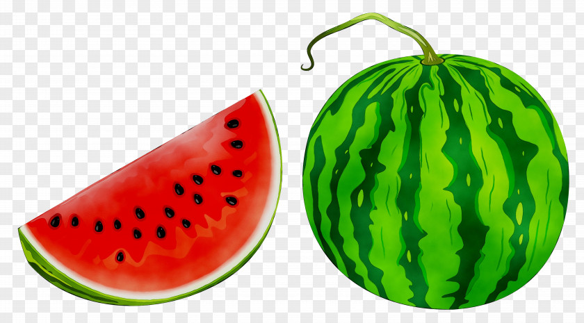 Clip Art Fruit Illustration Watermelon PNG