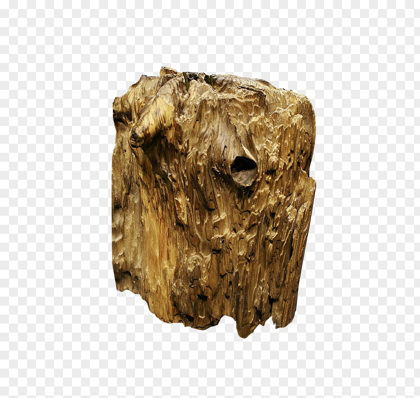 Deadwood Wood Trunk PNG