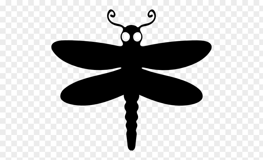 Dragon Fly Insect Dragonfly PNG