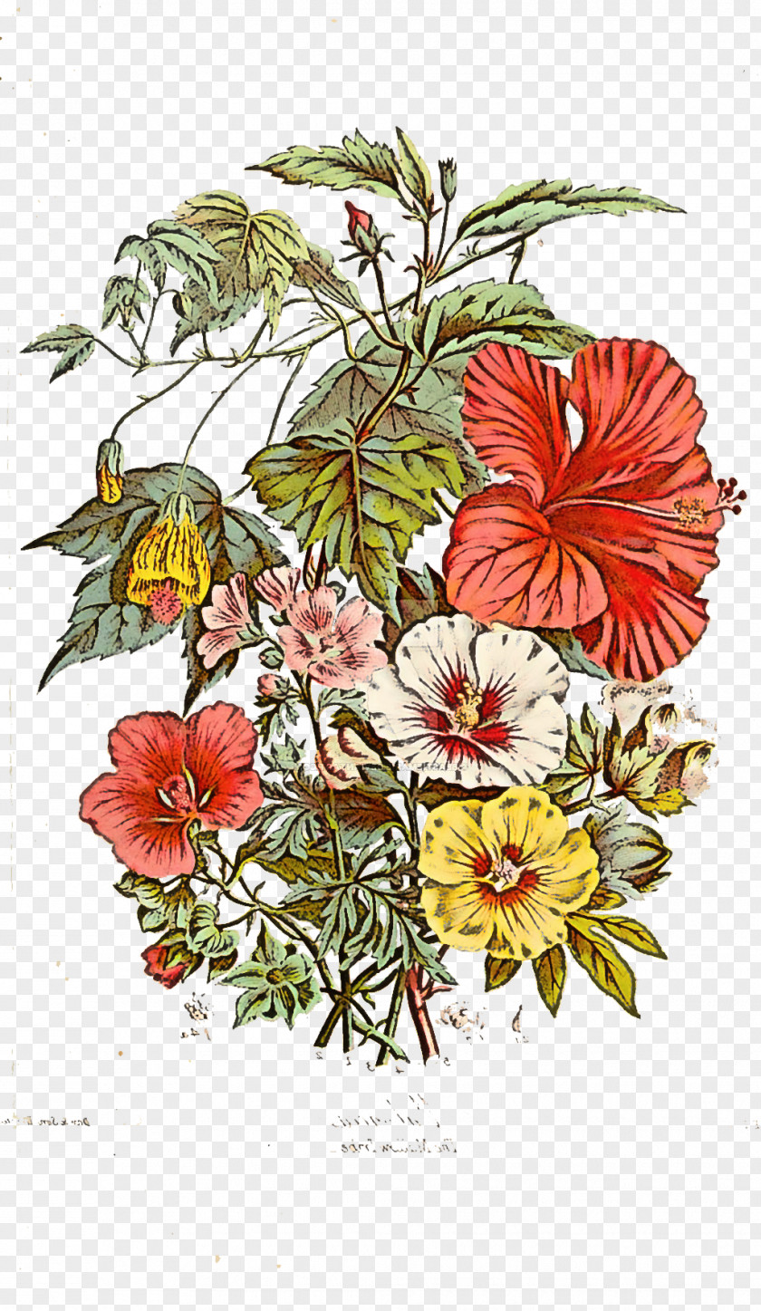 Floral Design PNG