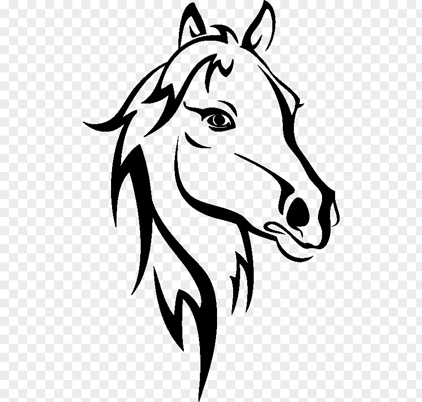 Horse Wall Decal Sticker PNG