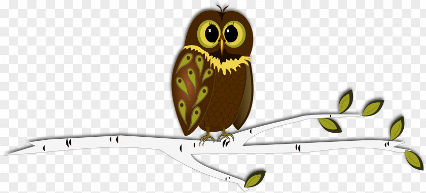 Owl Baby Owls Drawing For Kids Clip Art PNG