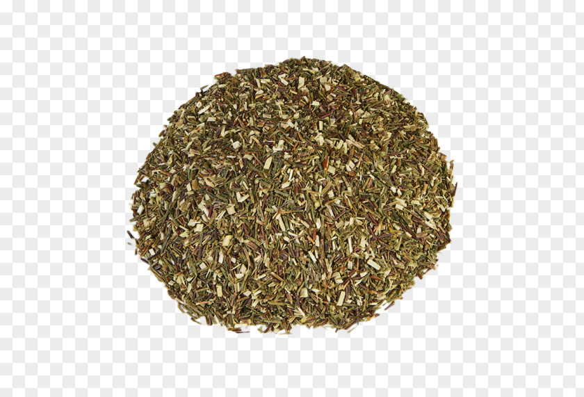 Rooibos Seed Grasses Rye Lawn Lolium Perenne PNG