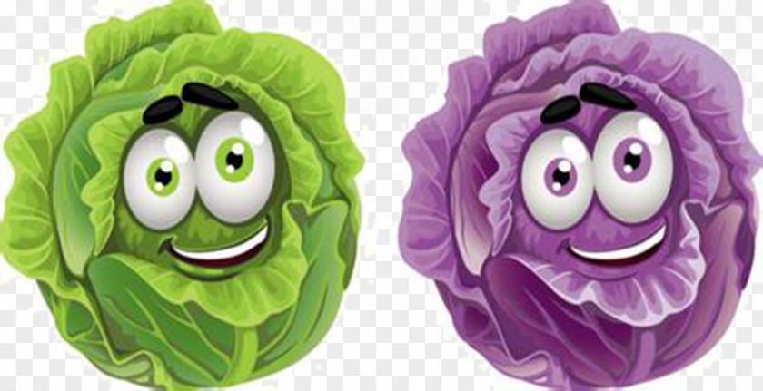 Cartoon Cabbage Vegetable Drawing Clip Art PNG