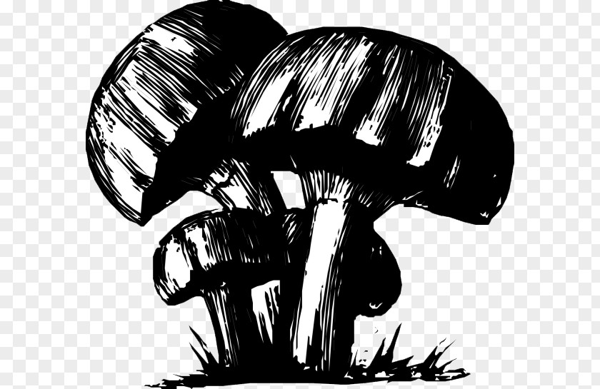 Cartoon Hand Painted Black Ink With Mushrooms And White Mushroom Drawing PNG