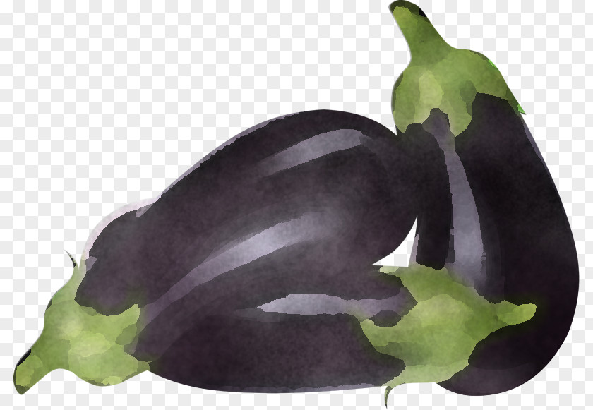 Eggplant Vegetable Plant Flower PNG