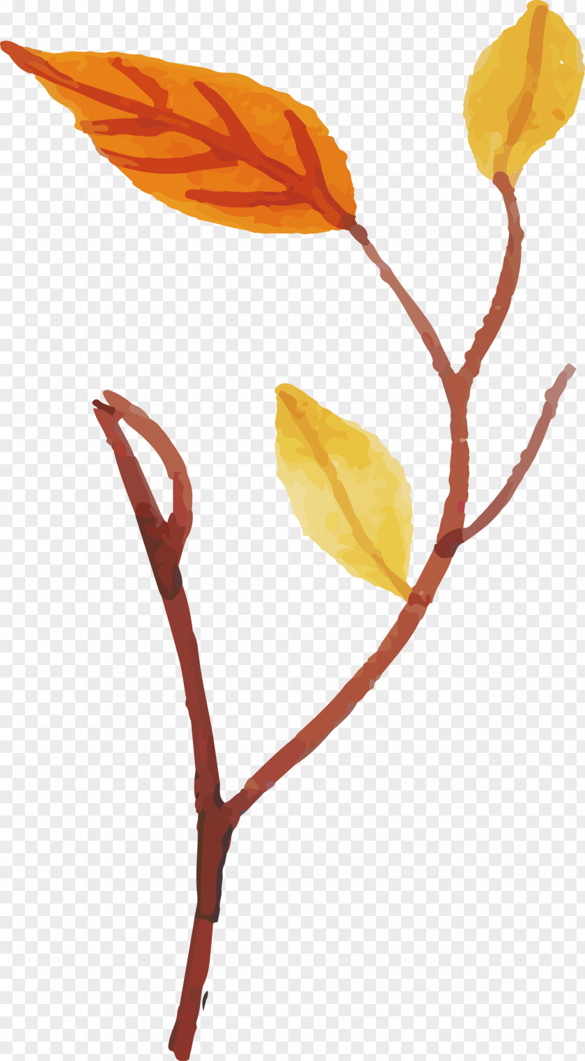 Plant Stem Petal Leaf Cut Flowers Twig PNG