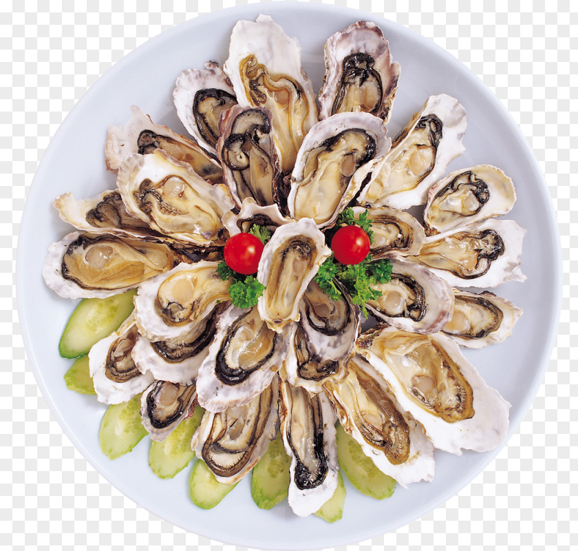 Plate Oyster Clam Mussel Recipe PNG
