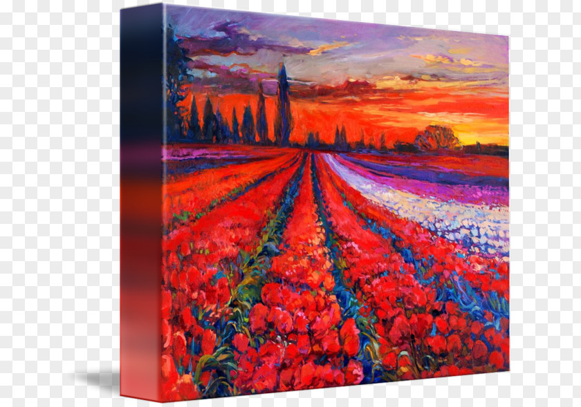Poppy Field Oil Painting Reproduction Watercolor Landscape PNG