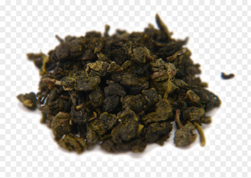 Tea Oolong Nilgiri Green White PNG