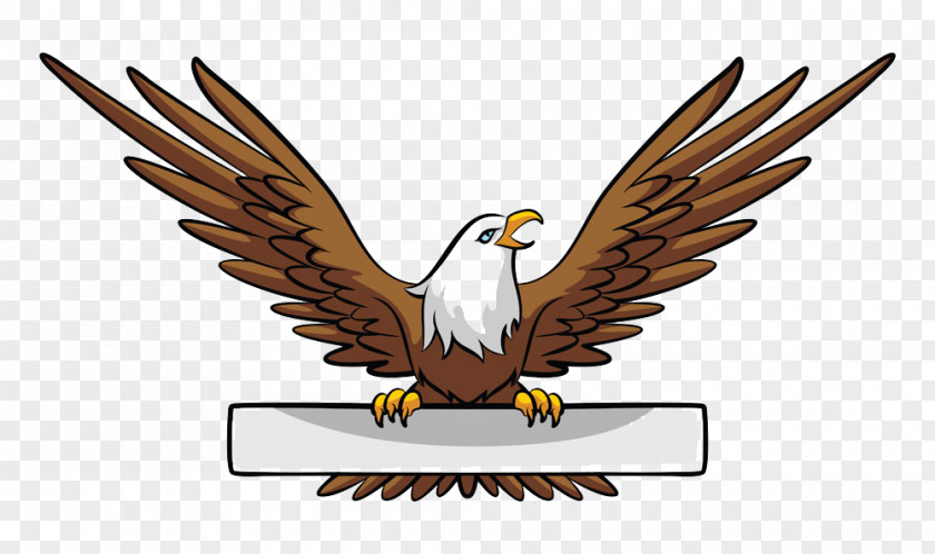 Vector Eagles Bald Eagle Banner Illustration PNG