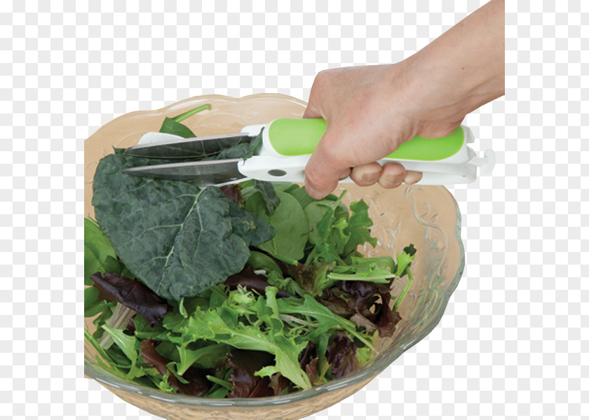 Chopped Romaine Lettuce Vegetarian Cuisine Spring Greens Spinach PNG