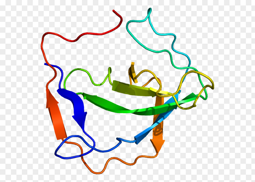 Dott. Giovanni Menchini TherapyLentigo Maligna Melanoma Inhibitory Activity Vitiligo Istituto Dermacademy PNG