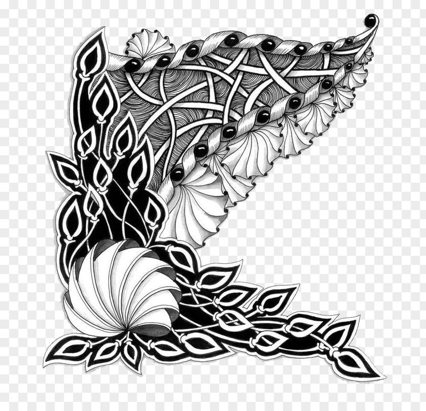 Floral Decoration Doodle Zentangle Drawing Image PNG