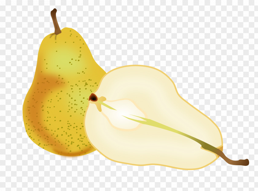 Food Fruit Asian Pear Clip Art PNG