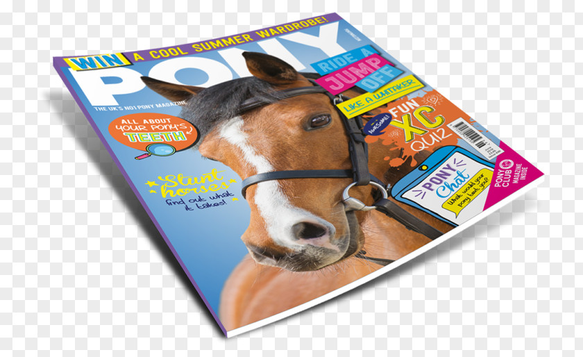 Horse PONY Magazine DJ Murphy Publishers Ltd PNG