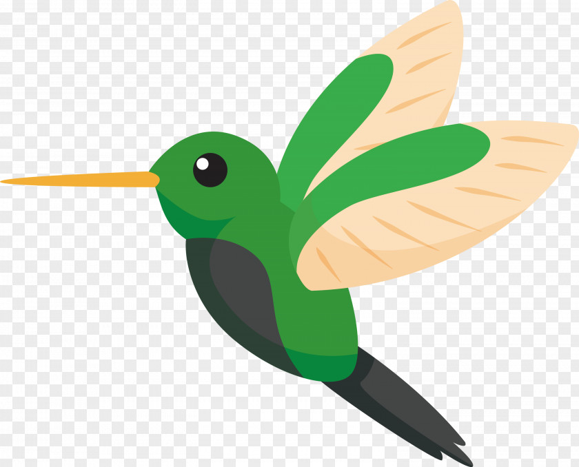 Hummingbirds Insect Green Beak PNG
