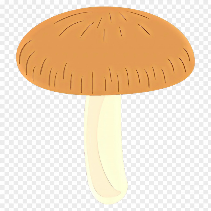 Mushroom Fungus Table PNG