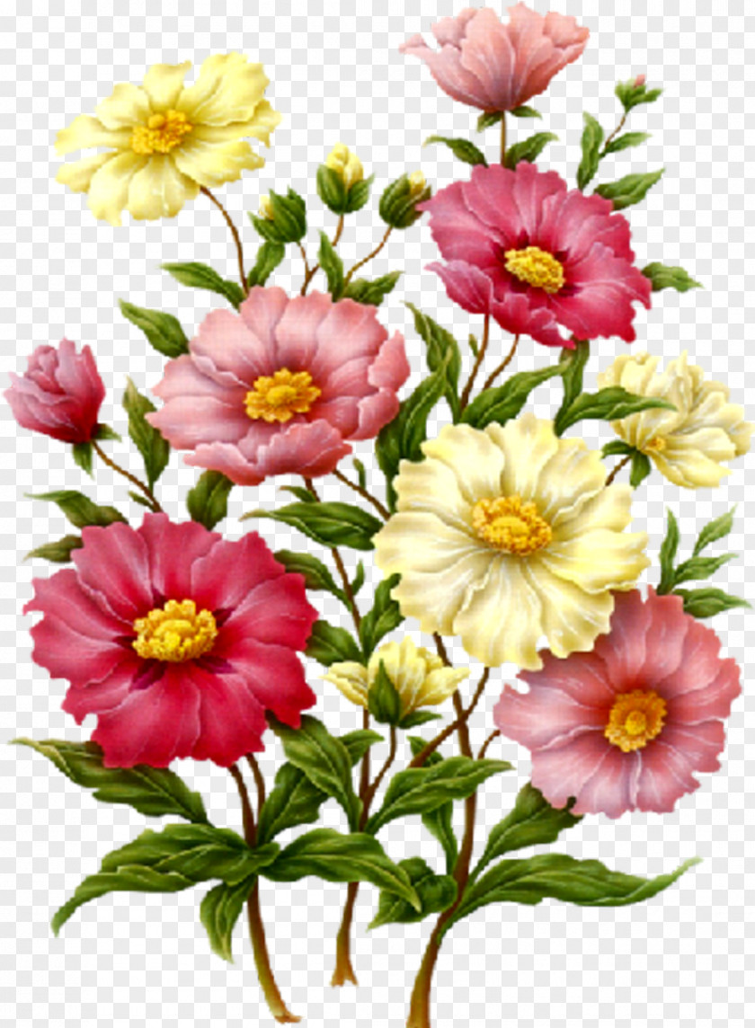 Wildflower Japanese Anemone Bouquet Of Flowers Drawing PNG