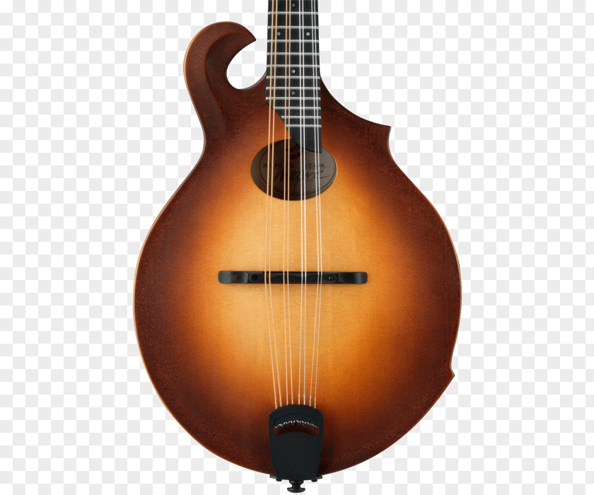Acoustic Guitar Mandolin Tiple Cuatro Bass PNG