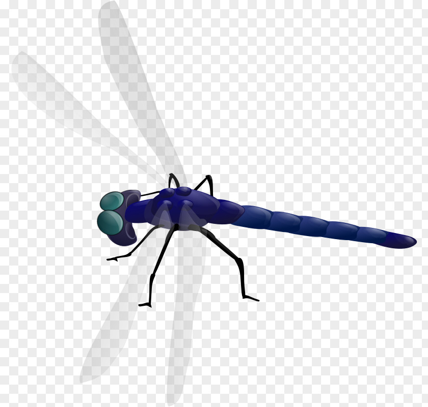 Animated Dragonfly Pictures Free Content Clip Art PNG