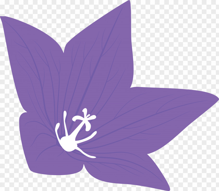 Balloon Flower PNG