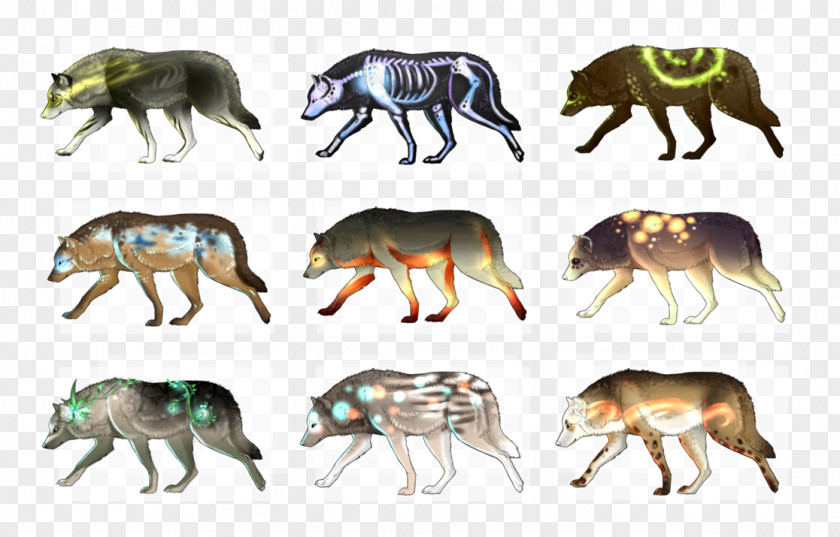 Charity Fundraisers Jackal Terrestrial Animal Wildlife Snout PNG