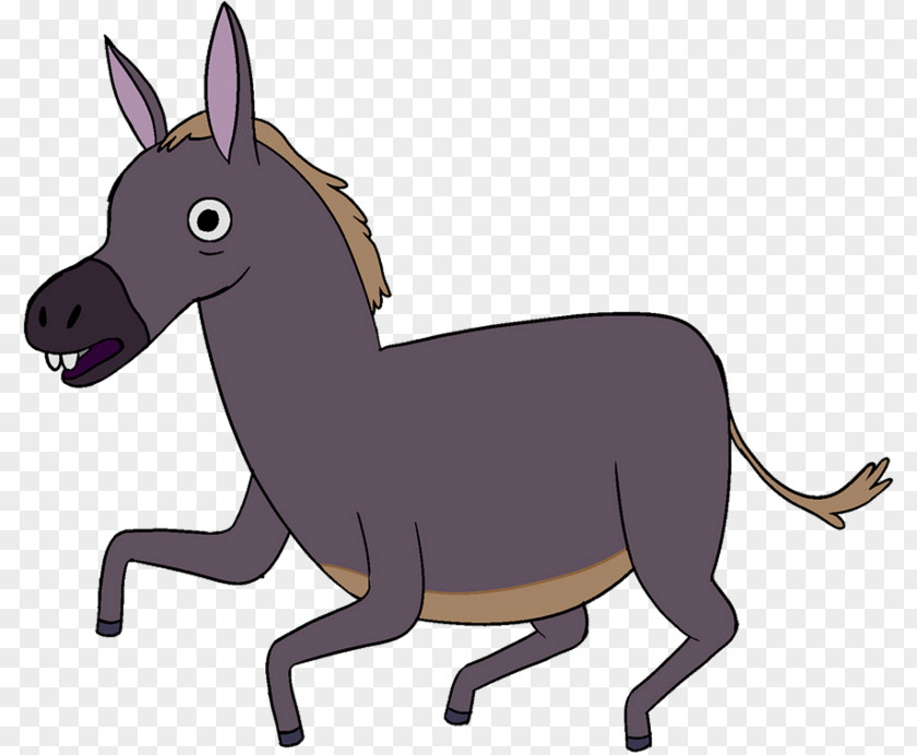 Donkey Mule Word English Spanish PNG