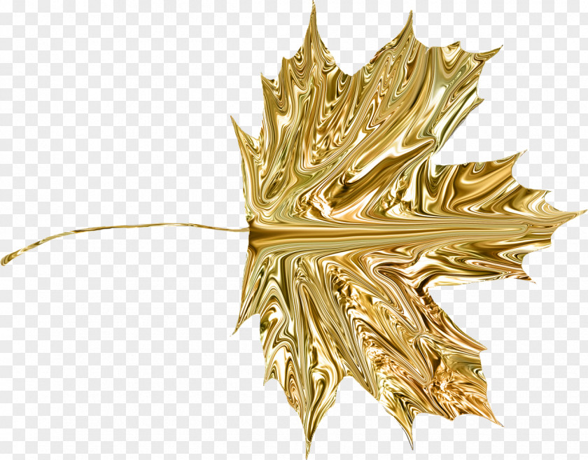Gold Leaf Clip Art PNG