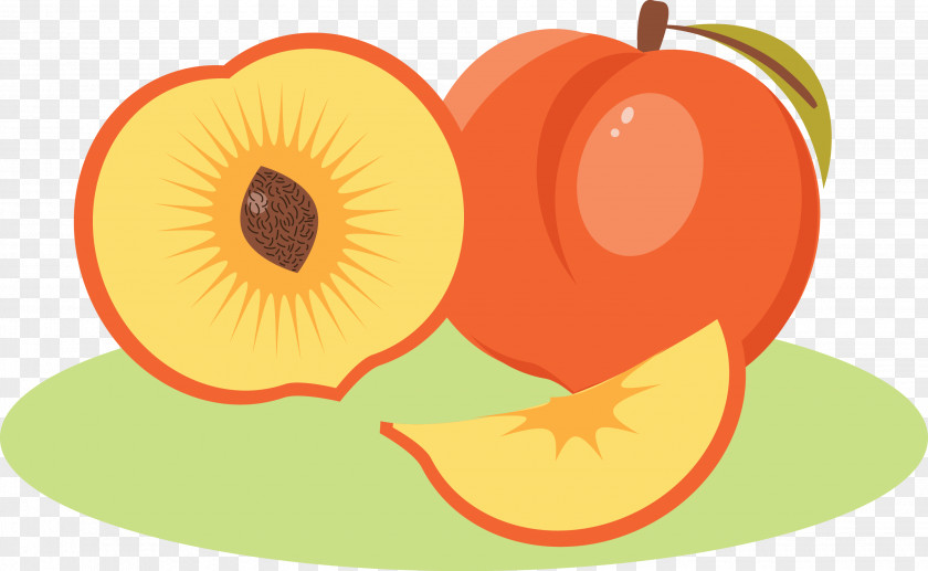 Not Ripe Kiwi Berries Clip Art Illustration Superfood Diet Food PNG