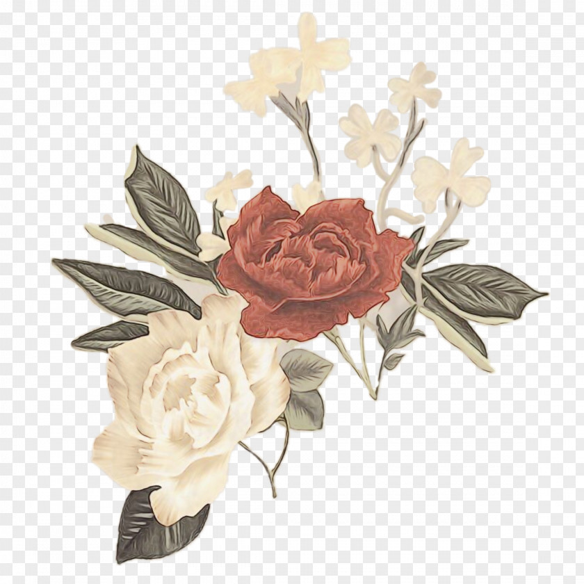 Rose Order Beige Garden Roses PNG