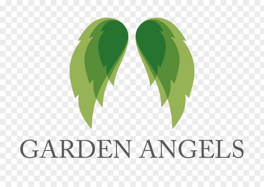 Spindle Insignia Logo Font Brand Leaf Desktop Wallpaper PNG