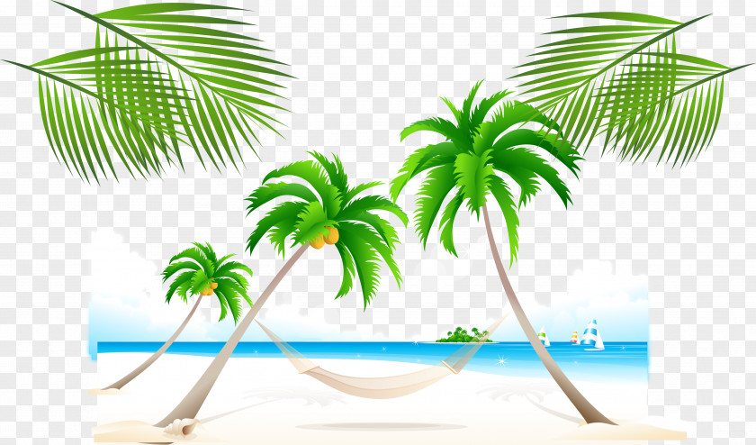 Summer Coconut Tree Beach Poster Background Material Photography Clip Art PNG
