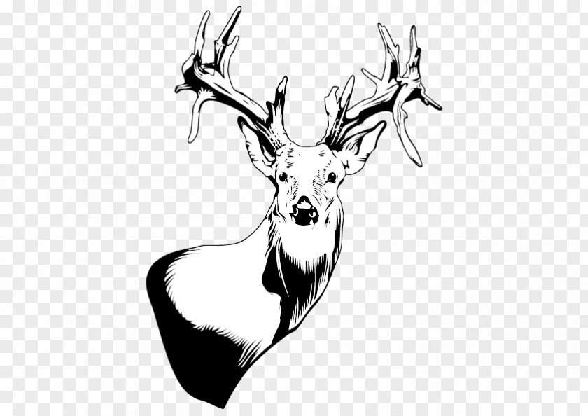 Vector Deer Reindeer Black And White PNG