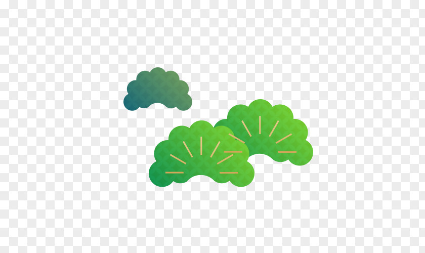 Cartoon Broccoli Leaf Green Pinaceae PNG