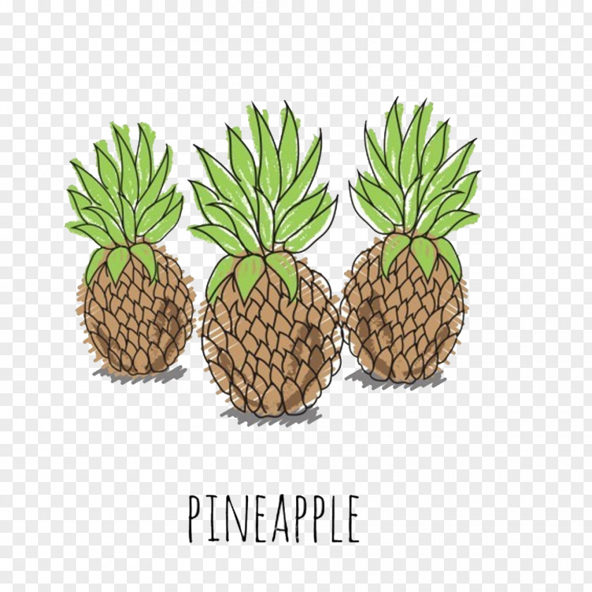 Hand-painted Pineapple Vector Elements Juice Euclidean Illustration PNG