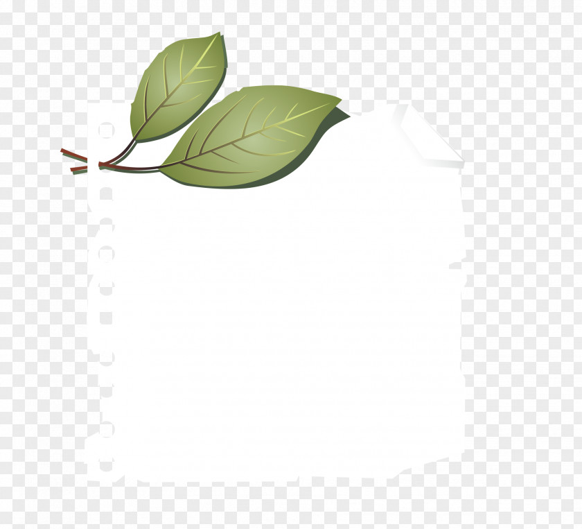 Leaves Beetle Paper PNG
