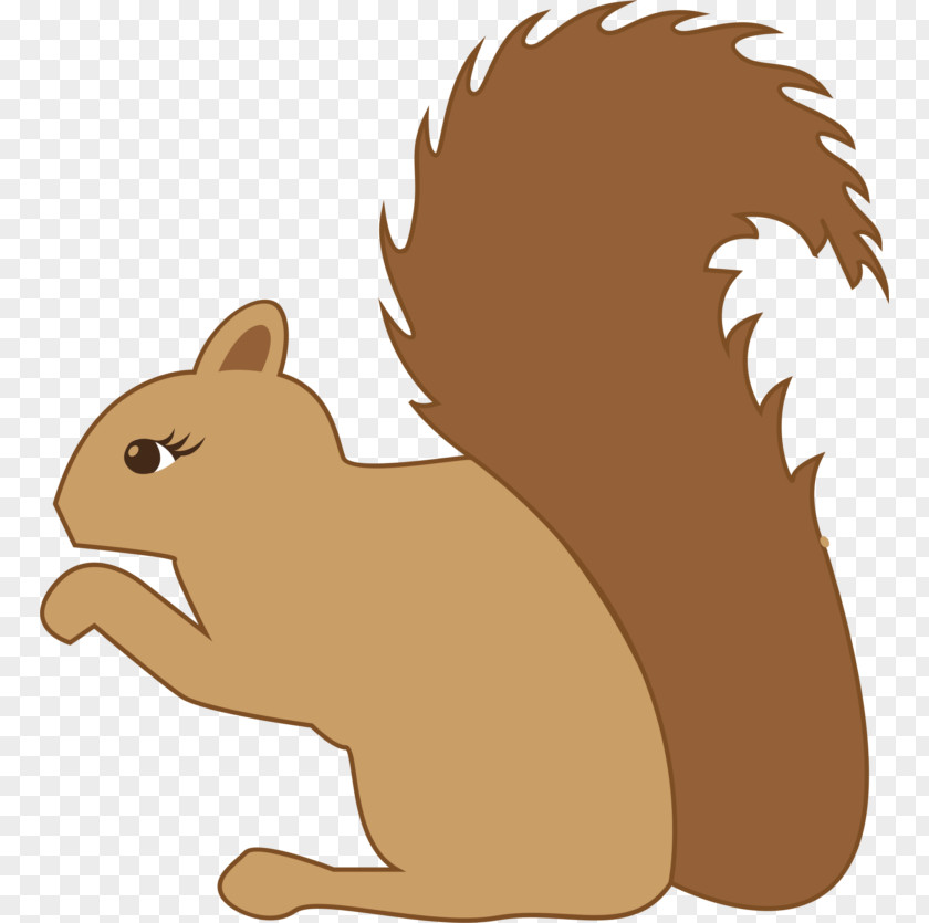 Squirrel Eastern Gray Tree Clip Art PNG