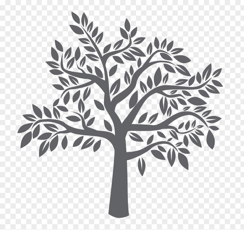 Tree Vector Graphics Image Silhouette Photograph PNG