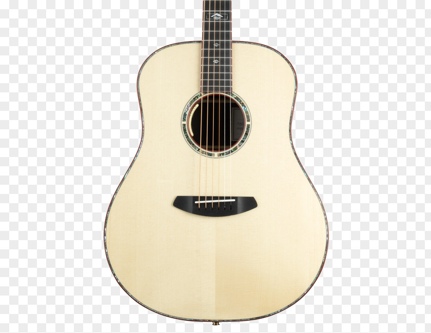 Acoustic Guitar Steel-string Classical Acoustic-electric PNG