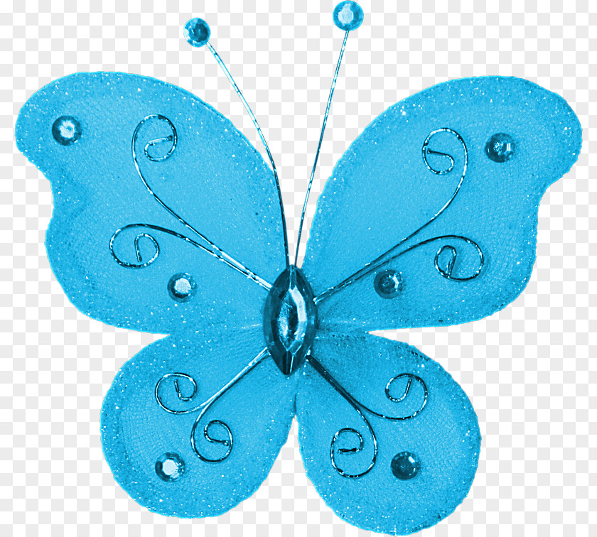 Blue Butterfly Download PNG