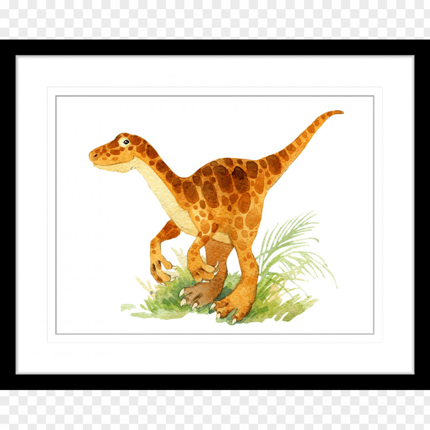Dinosaur Velociraptor Drawing PNG