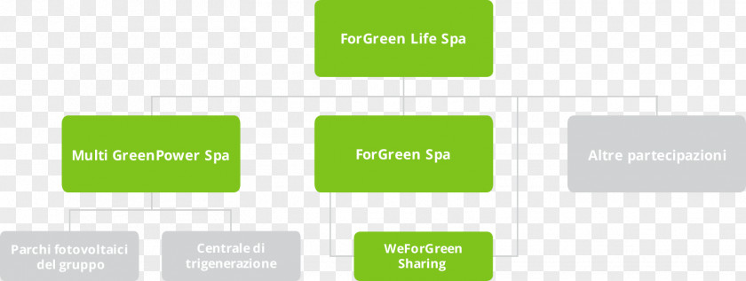 Green Life ForGreen Spa Via Evangelista Torricelli Business PNG