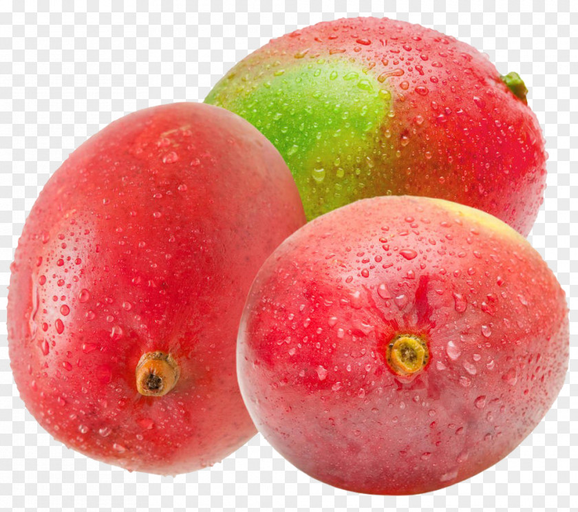 Mango Organic Food Fruit PNG