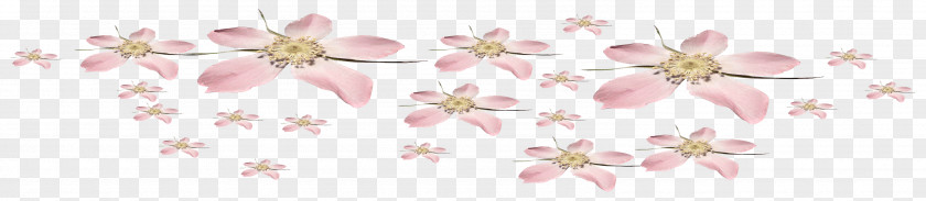 Pearls Flower Floral Design Floristry Art Ornament PNG